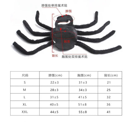 Spider Halloween Costume for Small & Medium Pets