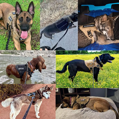 Padded No-Pull Dog Vest Harness – Adjustable Quick-Release Nylon Walking Harness