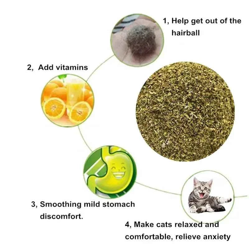 Natural Premium Catnip Cattle Grass Interactive Cat Non-toxic 10g Menthol Flavor Funny Cat Supplies Keep Pet Health Cat Toy