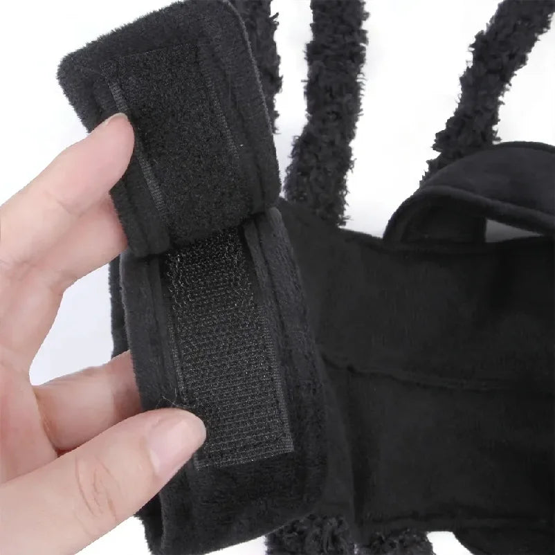 Spider Halloween Costume for Small & Medium Pets