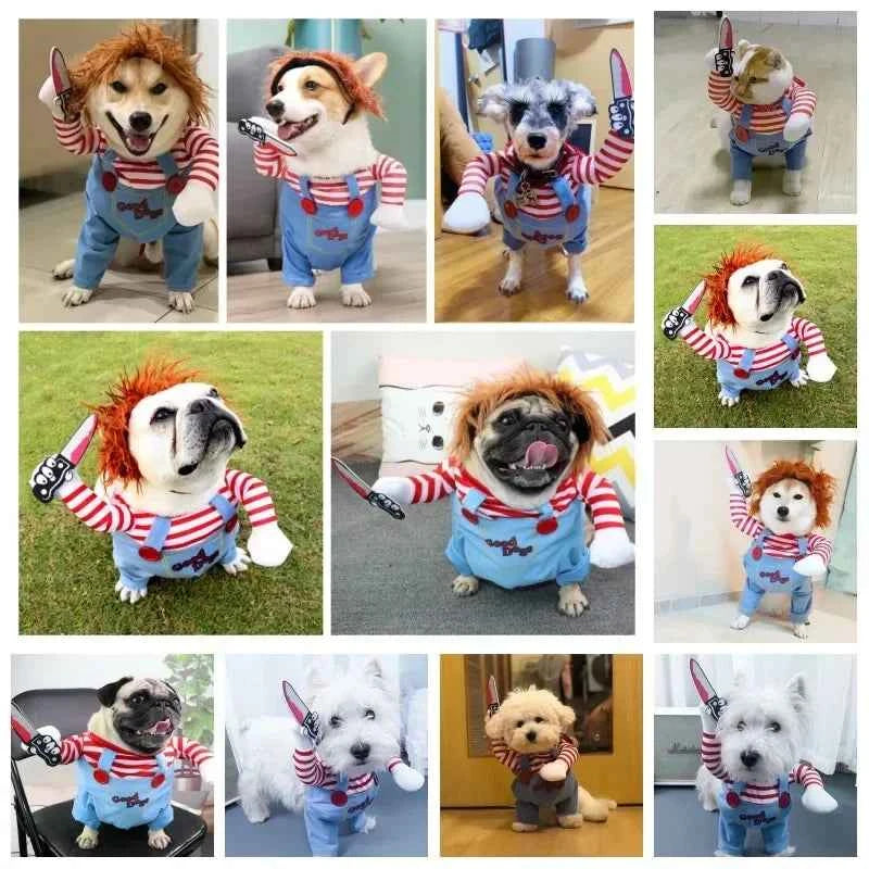 Funny Halloween Pet Costume for Small/Medium Dogs & Cats - Adjustable Puppy Cosplay for French Bulldogs, Chihuahuas & More