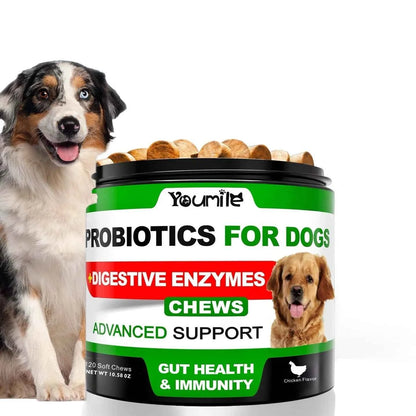 Probiotics for Dogs – 120 Chews Digestive Support for Gut Health & Sensitive Stomach