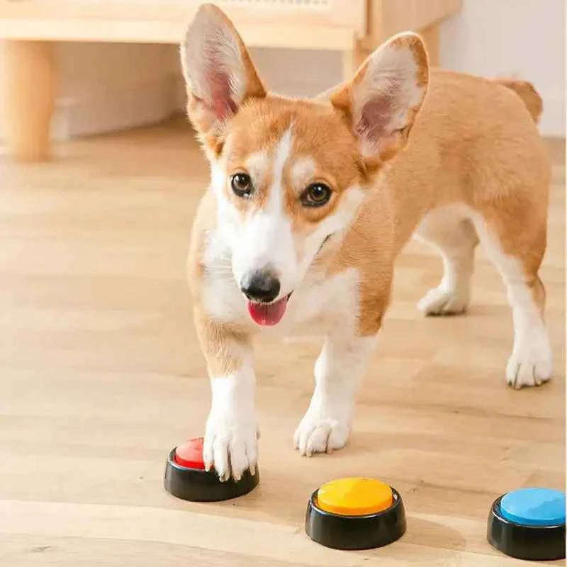 New Pet Training Tool Cat Dog Sound Box Recordable Talking Button Cat Voice Recorder Toy For Communication Pet Training Buzzer