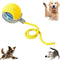 yellow Pet Ball Toy