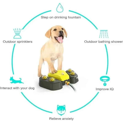Dog Sprinkler Outdoor Canine Water Fountain Easy Paw Activated 2 Aqua Outlet Modes Hose Dispenser for Big and Small Dogs