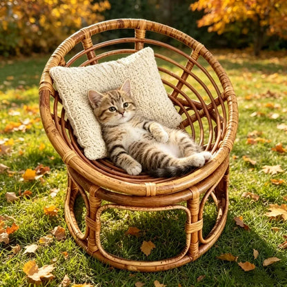 Natural Rattan Cat Bed Chair Handwoven Cat Photography Prop Breathable Wicker Cat Basket Elevated Round Cat Nest for Indoor Cats