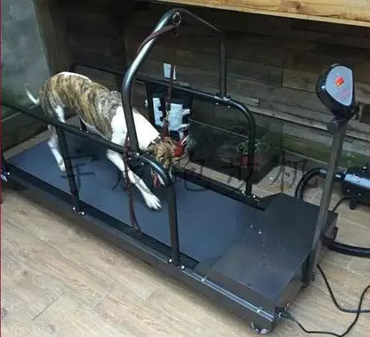 Electric Dog Treadmill – 220 LB Capacity Indoor Exercise & Walking Machine