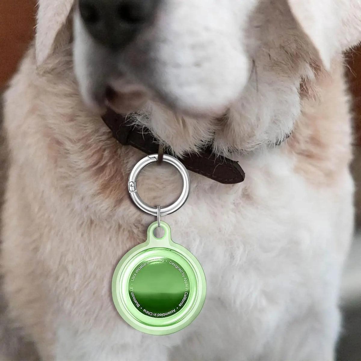 8/4/2 Pack AirTag Keychain Case – Waterproof Dog & Cat Holder