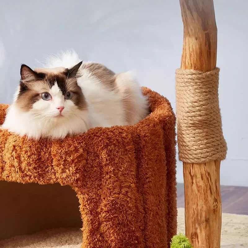 Nordic Originality Cattery Modern Simple Design Wooden Cat House Scratching Post Playground for Cat Furniture Columpio Gato FYCT