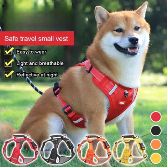 Dog wearing a red safety travel vest with product features listed, outdoors.