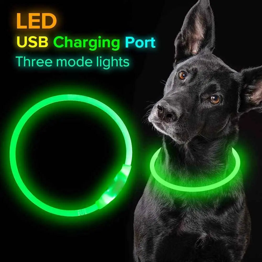 Rechargeable LED Dog Collar – Adjustable Light-Up Pet Safety Collar for Night Walks