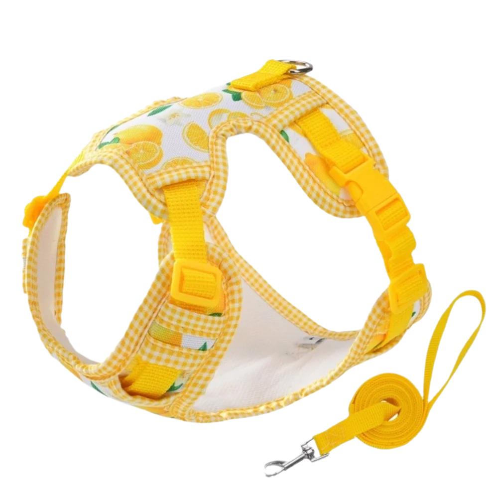 Adjustable Dog Harness Leash Set Escape-Proof Breathable Dog Harness Vest Cartoon Pattern Comfort Fit Pet Leash Pet Training - Needora