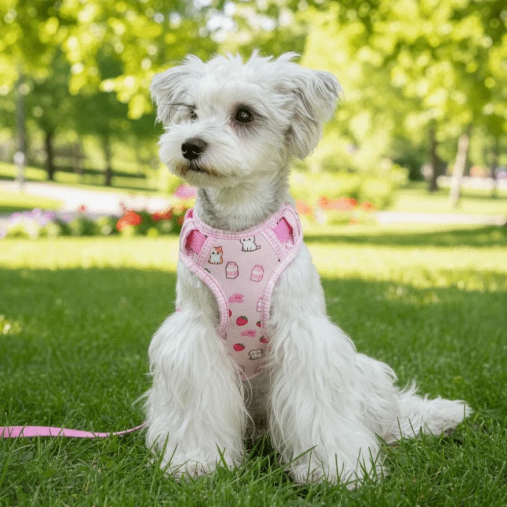 Adjustable Dog Harness Leash Set Escape-Proof Breathable Dog Harness Vest Cartoon Pattern Comfort Fit Pet Leash Pet Training - Needora