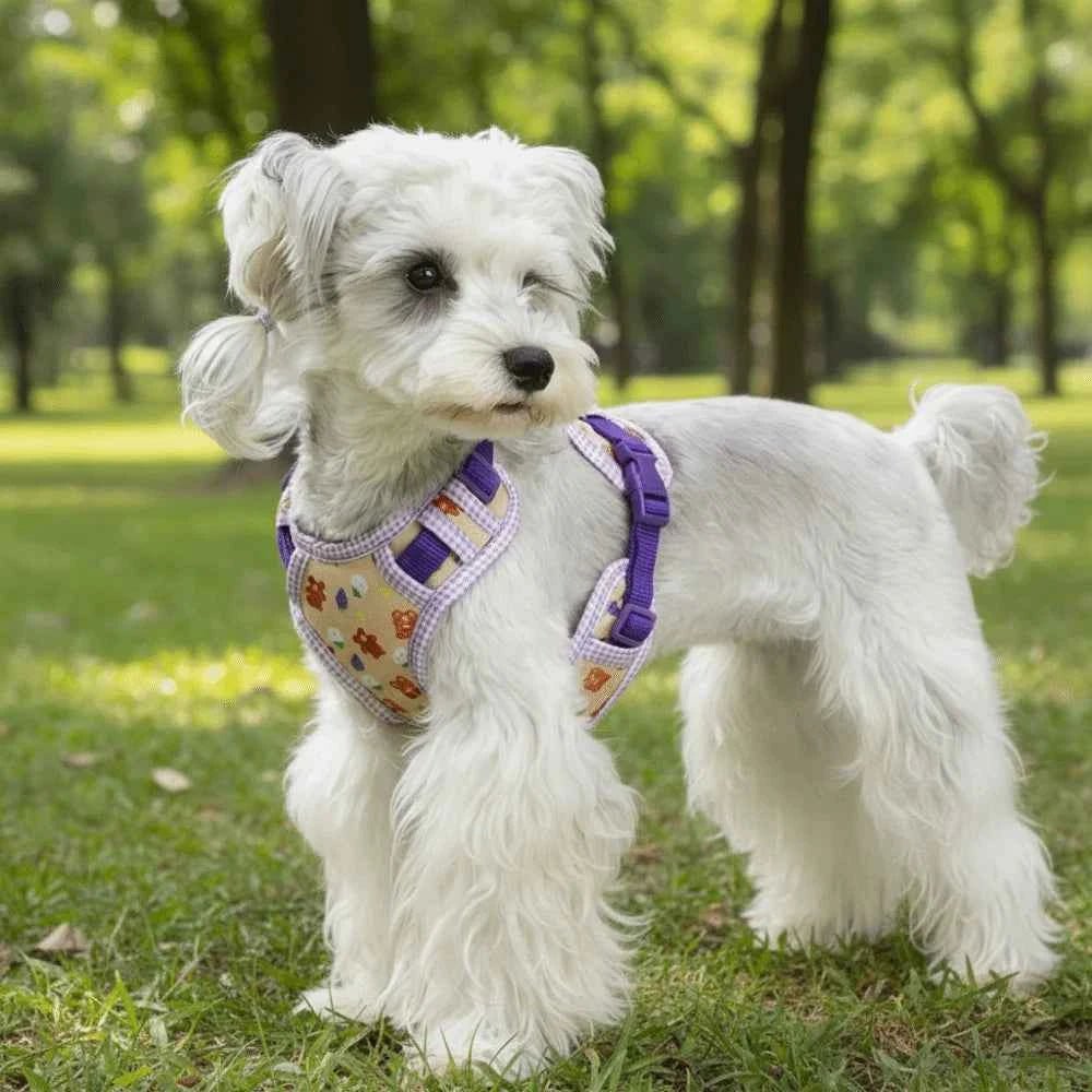Adjustable Dog Harness Leash Set Escape-Proof Breathable Dog Harness Vest Cartoon Pattern Comfort Fit Pet Leash Pet Training - Needora