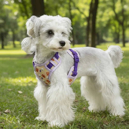 Adjustable Dog Harness Leash Set Escape-Proof Breathable Dog Harness Vest Cartoon Pattern Comfort Fit Pet Leash Pet Training - Needora