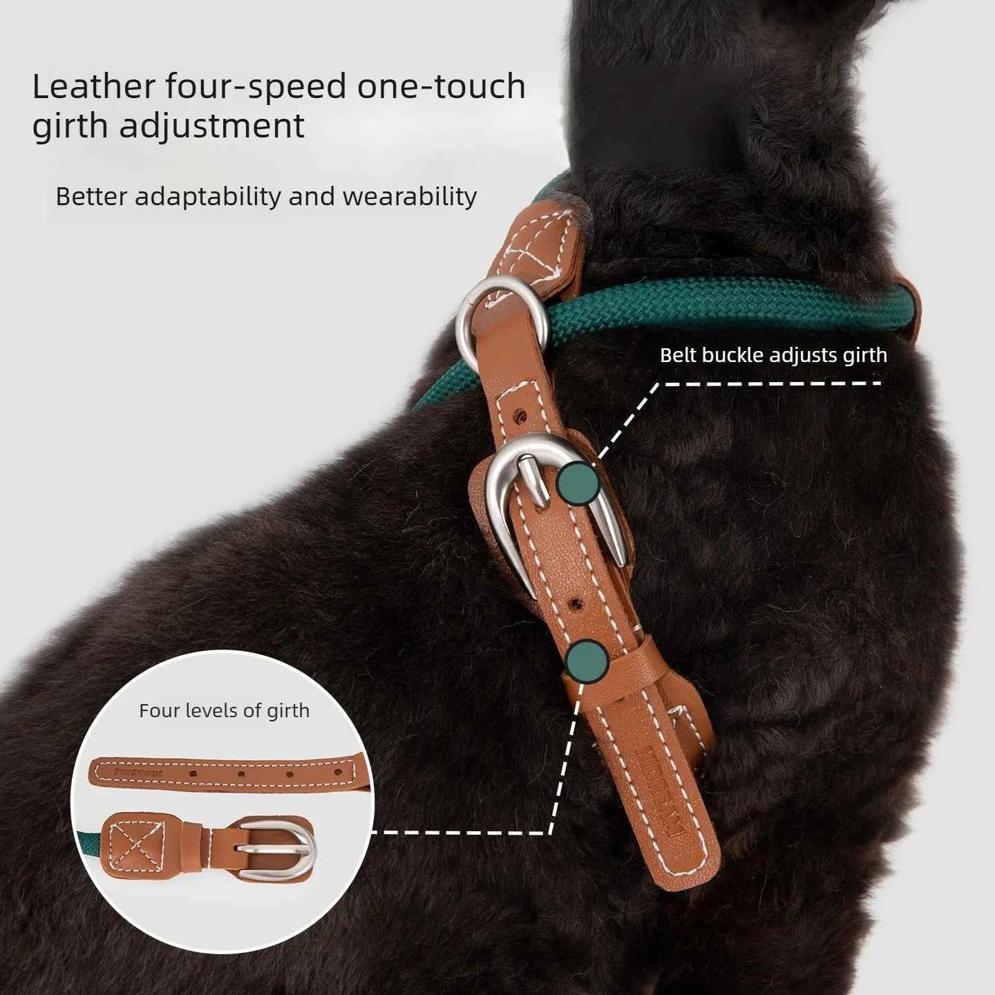 Adjustable X-Shape Cat Harness & Leash Set, Lightweight Escape Proof Cat Walking Harness,Leather 4-Gear Adjustment for 6kg Cats - Needora