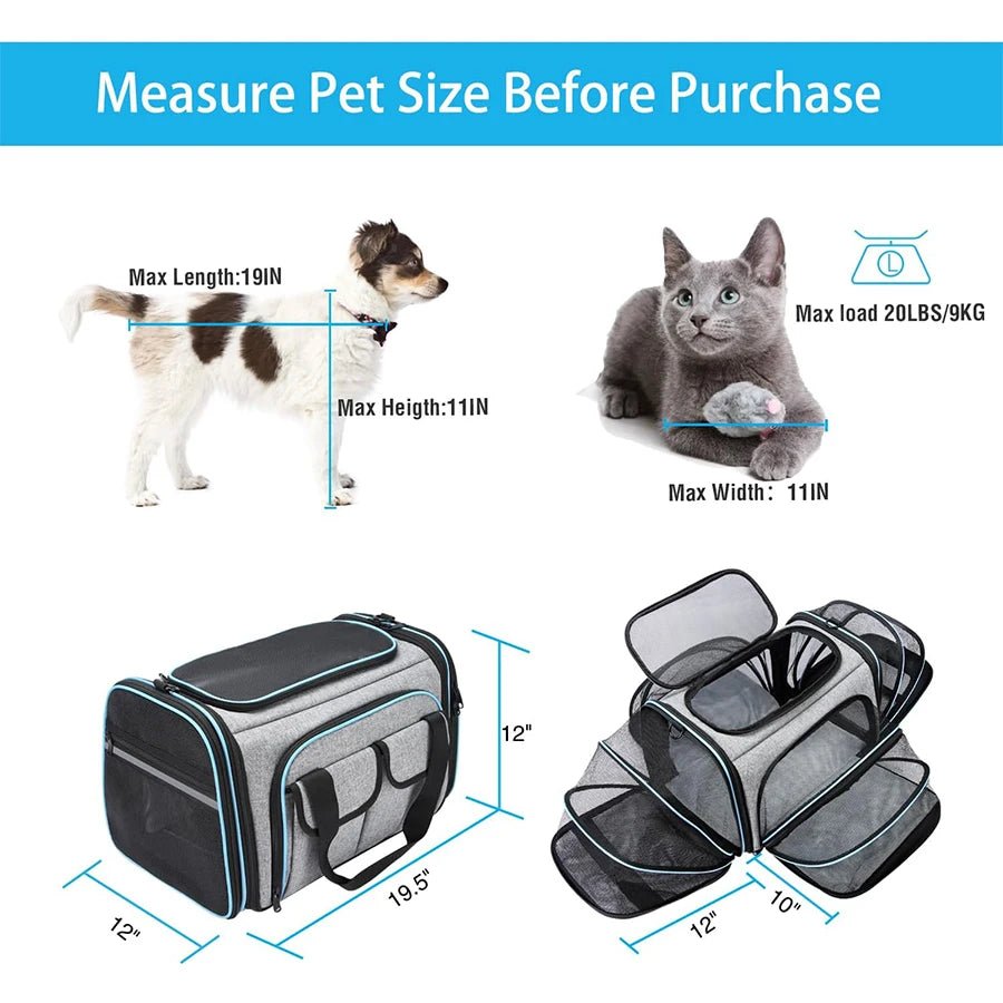 Airline-Approved Expandable Pet Carrier for Small Dogs & Cats – Soft-Sided Collapsible Travel Bag with 4-Way Access - Needora