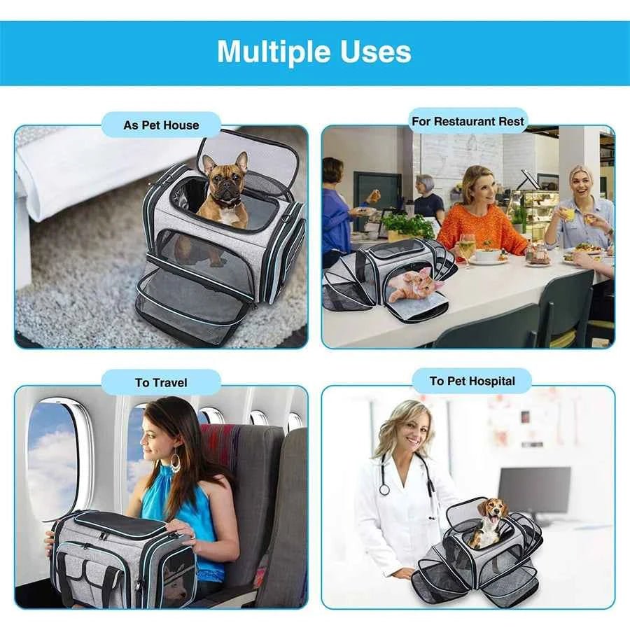 Airline-Approved Expandable Pet Carrier for Small Dogs & Cats – Soft-Sided Collapsible Travel Bag with 4-Way Access - Needora