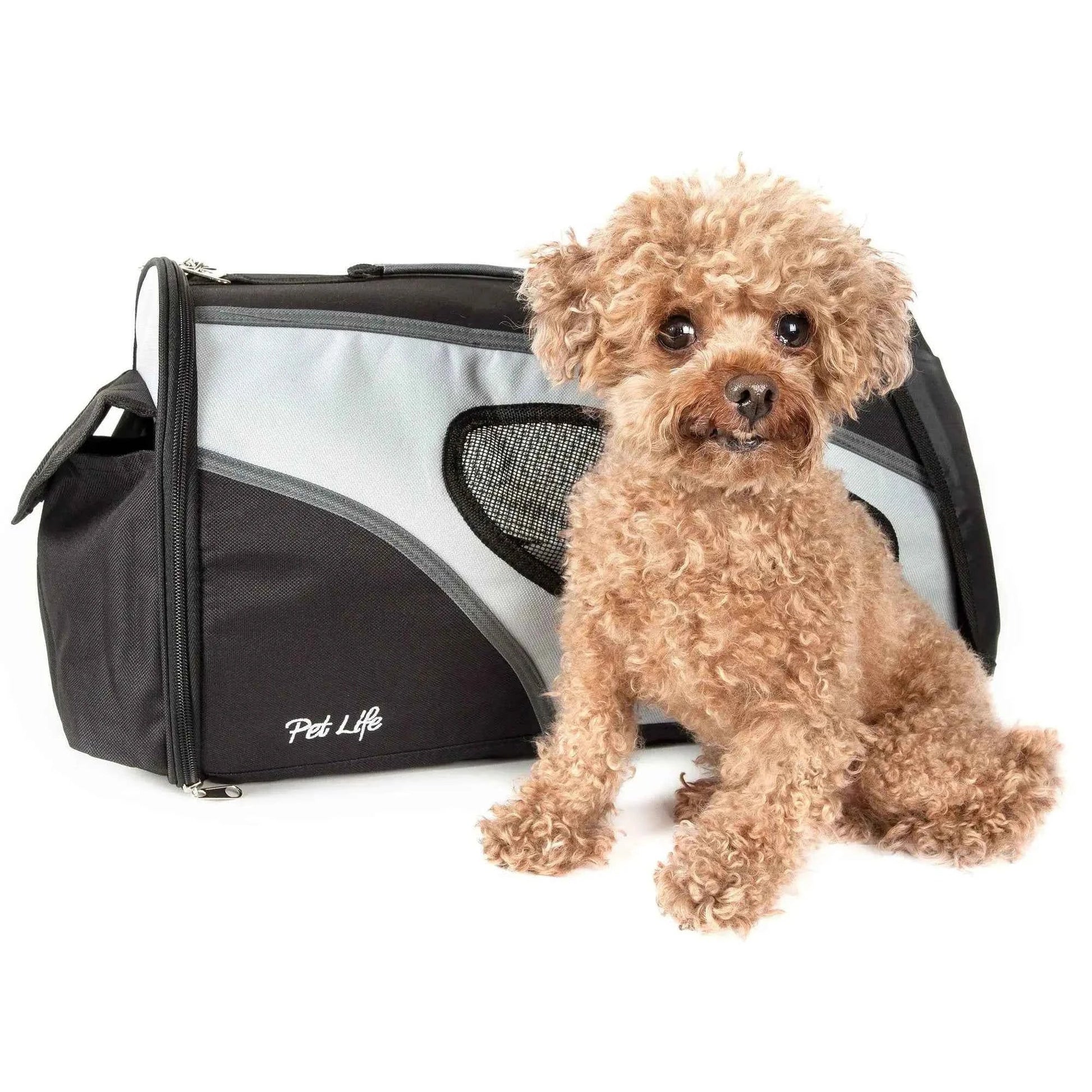 Airline Approved Phenom-Air Collapsible Pet Carrier Premium Quality Travel Companion for Your Furry Friend - Needora