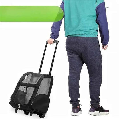 Approved Cat and Dog Travel Stroller Mesh Breathable Roll Wheels Pet Carrier Backpack with Animal Pattern - Needora
