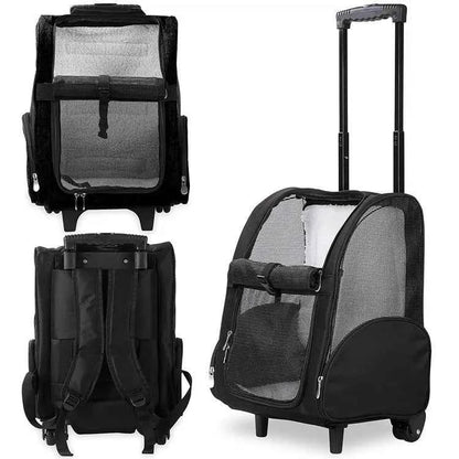 Approved Cat and Dog Travel Stroller Mesh Breathable Roll Wheels Pet Carrier Backpack with Animal Pattern - Needora
