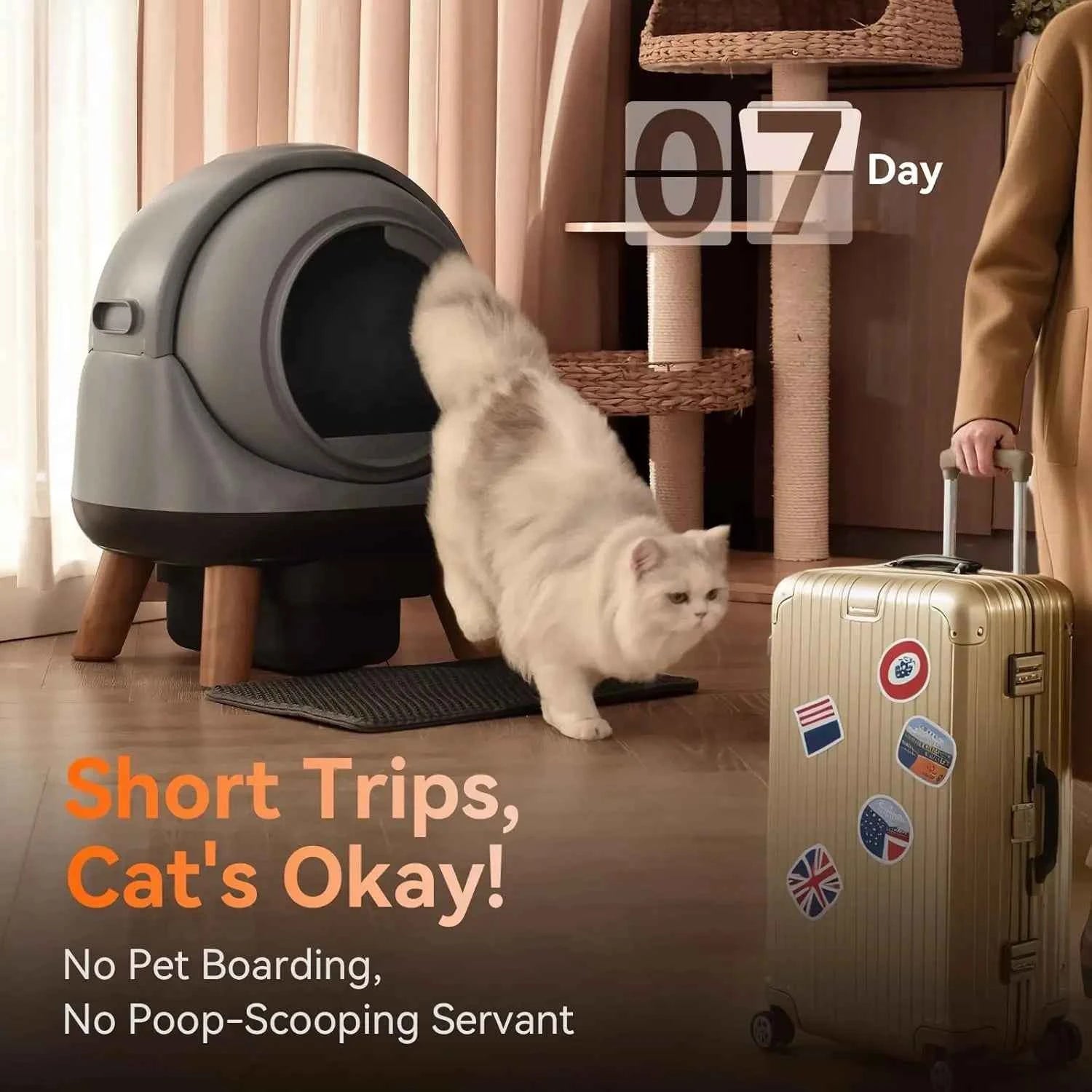 Automatic Self Cleaning Litter Box, Smart App Health Monitor, Multi Cat XL, 65L Grey, Custom - Needora