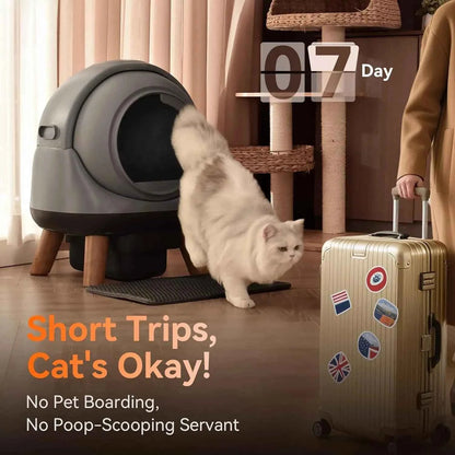 Automatic Self Cleaning Litter Box, Smart App Health Monitor, Multi Cat XL, 65L Grey, Custom - Needora