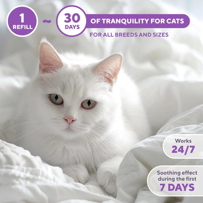 Calming Cat Diffuser Refill & Anti Anxiety Pet Products   Feline Calm Pheromones & Cats Comfort   Stress Relief Help with Pee New Zone Aggression Fighting with Dogs & Behavior Control