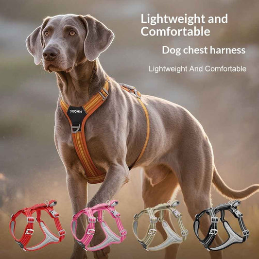 Outdoor Reflective Pet Harness Wear‑Resistant Adjustable Dog Cat Safety Vest