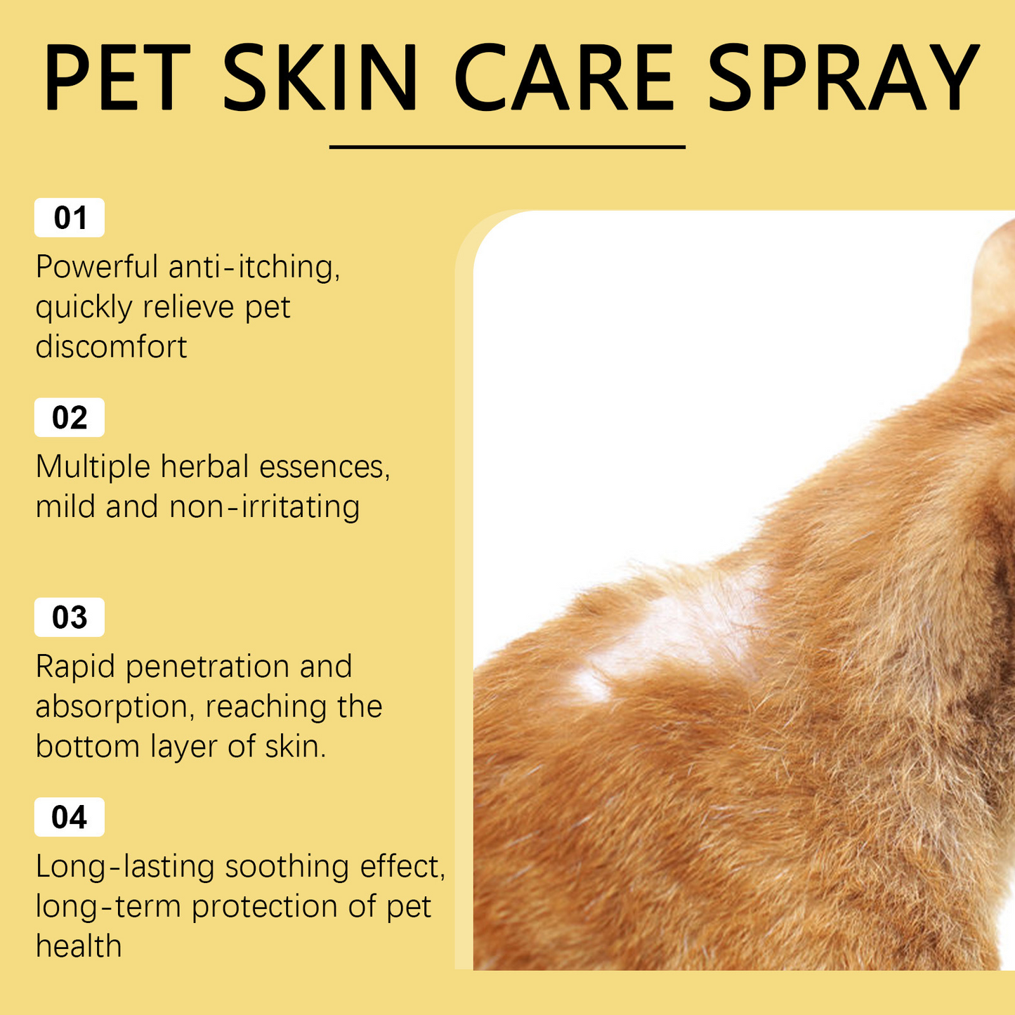 Pet Skin Care Spray for Dogs – Gentle Moisturizing Formula, 30ml