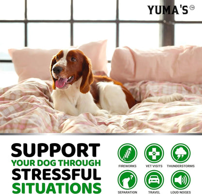 YUMA'S (2 Pack) Hemp Calming Chews for Dogs   Advanced Dog Calming Treats   Dog Calming Chews   340 Chews   Anxiety Relief Treats   Separation Aid Barking Stress Relief   Melatonin   Hemp Oil