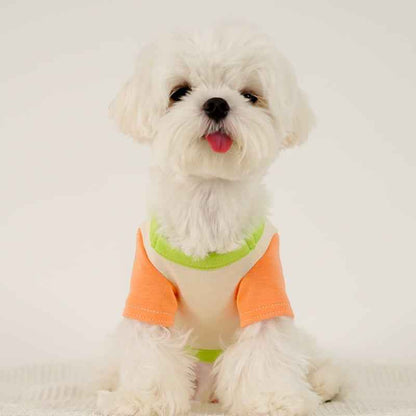 Puppy Dog Color Clash Home Wear Bottom Shirt