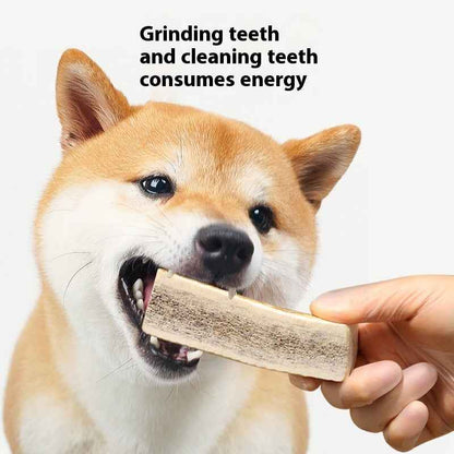 Bite Resistant And Teeth Cleaning Pet Snacks - Needora