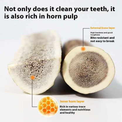 Bite Resistant And Teeth Cleaning Pet Snacks - Needora