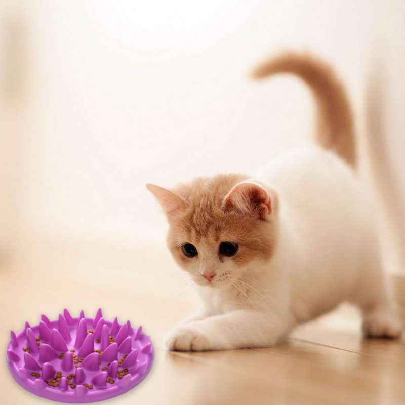 Silicone Non-Slip Pet Bowl for Dogs and Cats