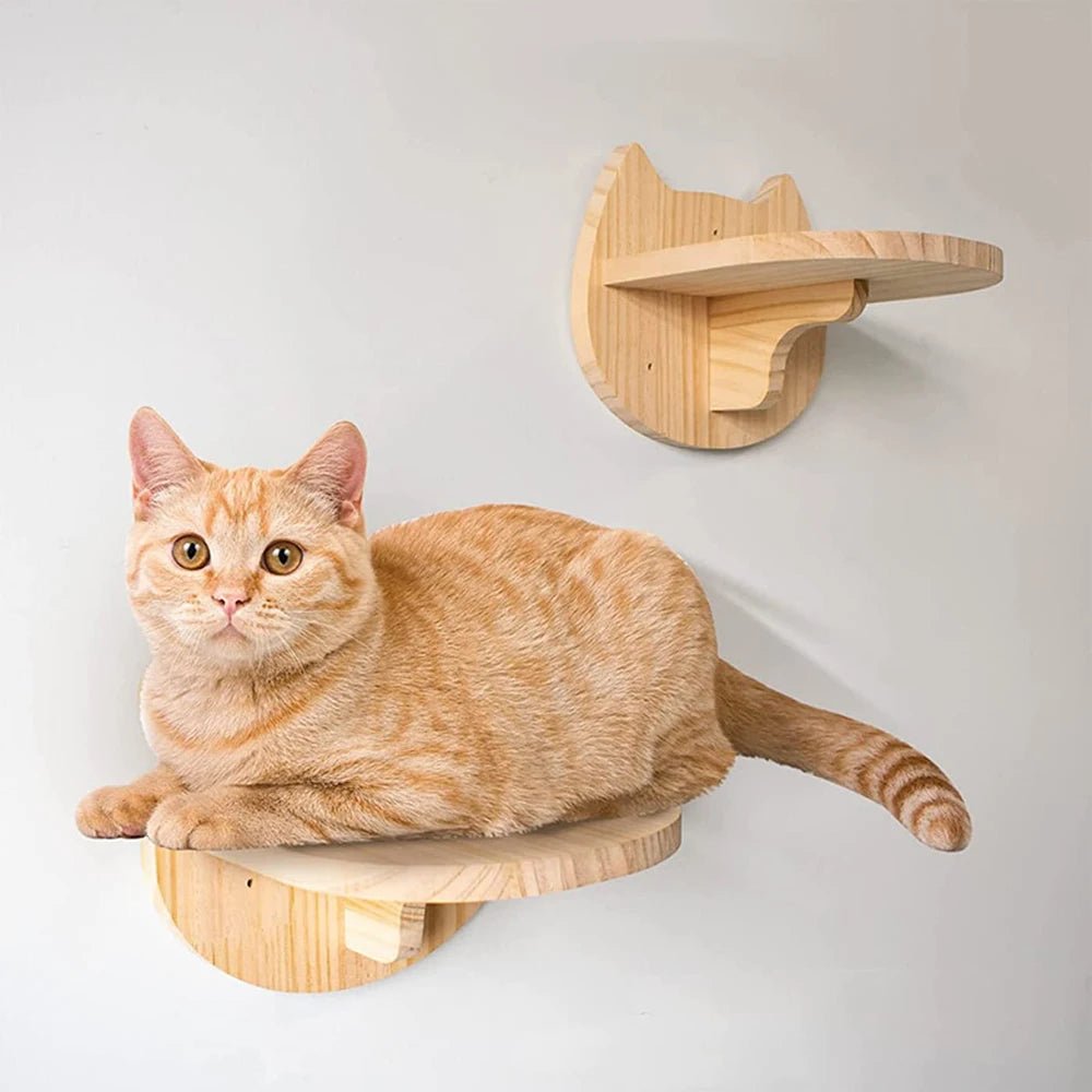 Cat Climbing Shelf Wall Mounted Four Step Stairway With Sisal Scratching Post For Cats Tree Tower Platform Jumping Pet Furniture - Needora