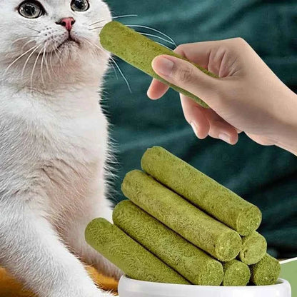 Cat Grass Sticks Grass Chewing Stick Freeze Dried Snacks Mouth Health Teething Digestive Aid Natural Teeth Cleaner Fattening Pet - Needora