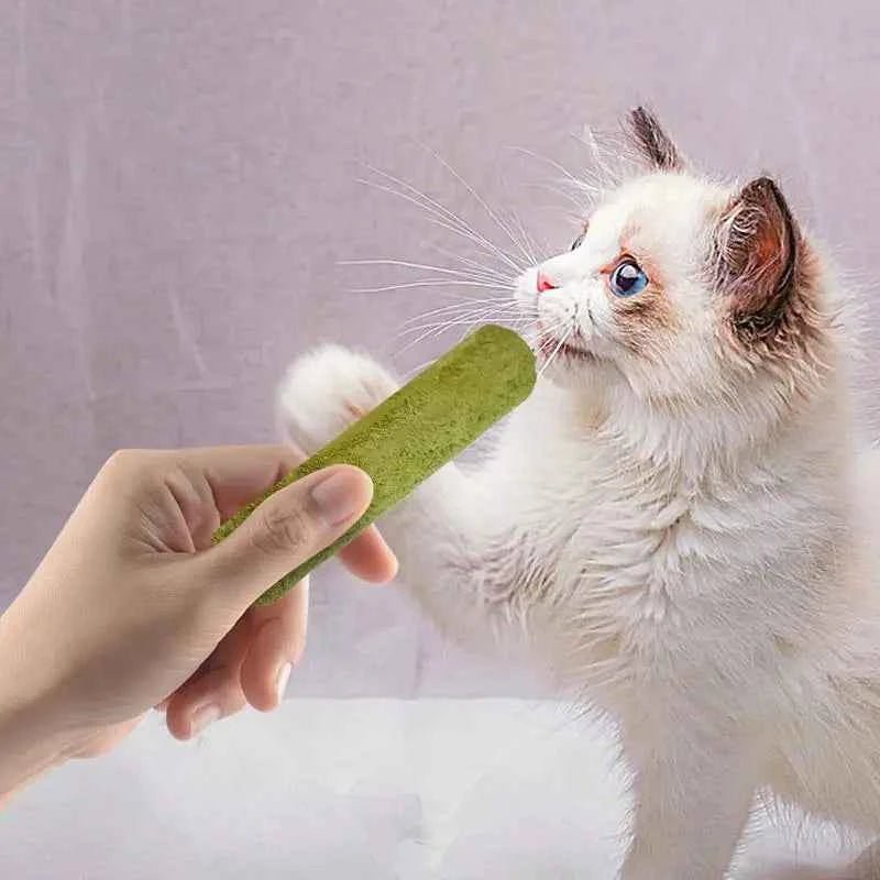 Cat Grass Sticks Grass Chewing Stick Freeze Dried Snacks Mouth Health Teething Digestive Aid Natural Teeth Cleaner Fattening Pet - Needora