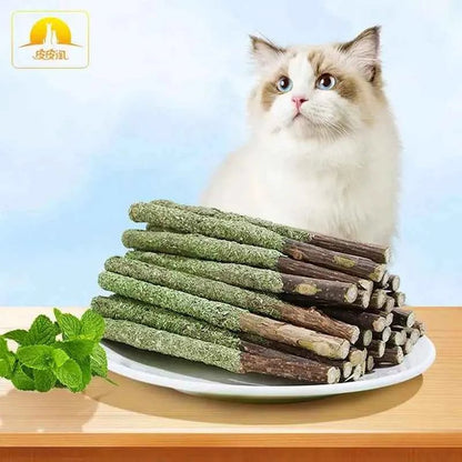 Cat Grass Sticks Indoor Cat Teething Grass Sticks Teething Stick Snacks For Cats Cat Grass Sticks For Hairball Removal - Needora