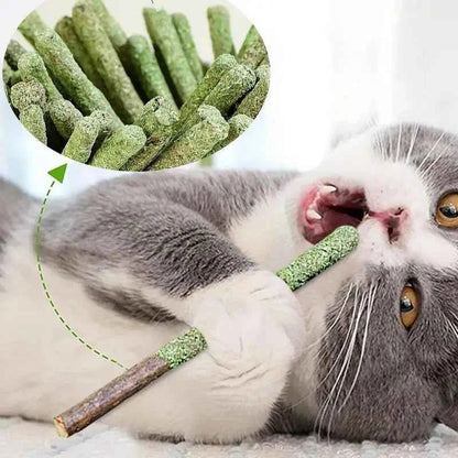 Cat Grass Sticks Indoor Cat Teething Grass Sticks Teething Stick Snacks For Cats Cat Grass Sticks For Hairball Removal - Needora