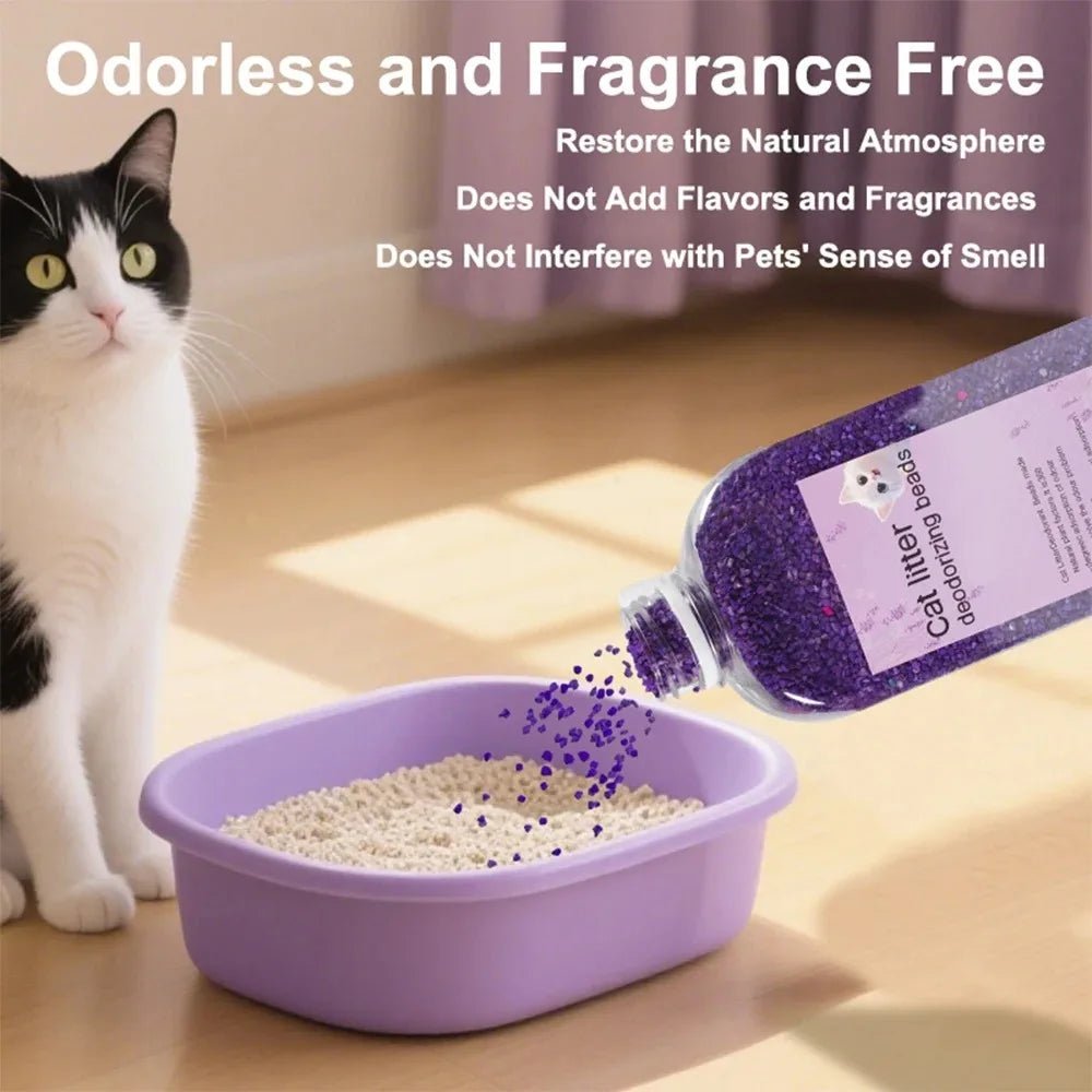 Cat Litter Deodorant Beads Odor Eliminator Non Toxic Safe for Cats Kittens Ready To Use Directly Pour Pet Litter Freshener - Needora