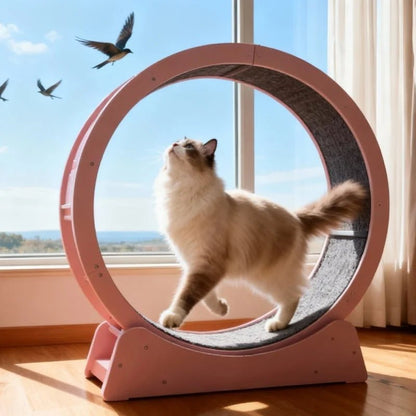 Customizable Cat Treadmill Eco-Friendly Corrugated MDF Material Modern-Classic Luxury Design Pet Interactive Movement ToySilent - Needora