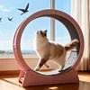 Customizable Cat Treadmill Eco-Friendly Corrugated MDF Material Modern-Classic Luxury Design Pet Interactive Movement ToySilent - Needora