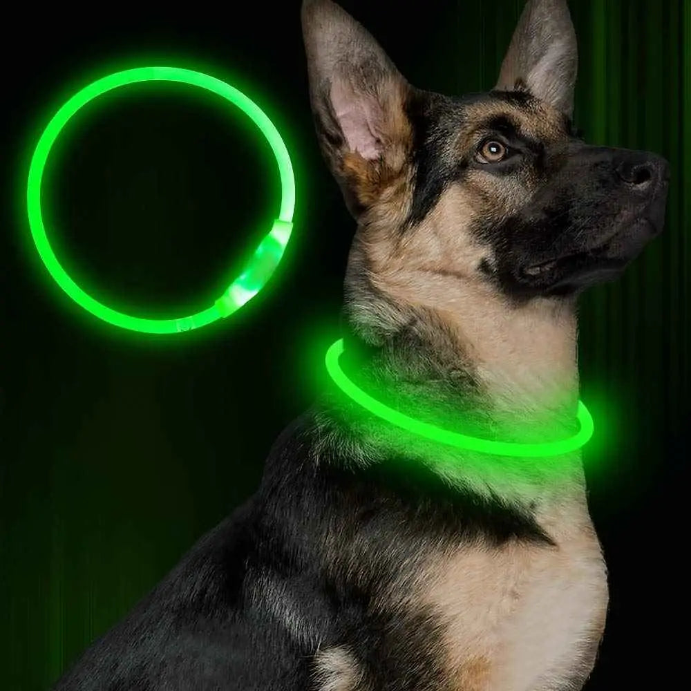 Rechargeable LED Dog Collar – Adjustable Light-Up Pet Safety Collar for Night Walks