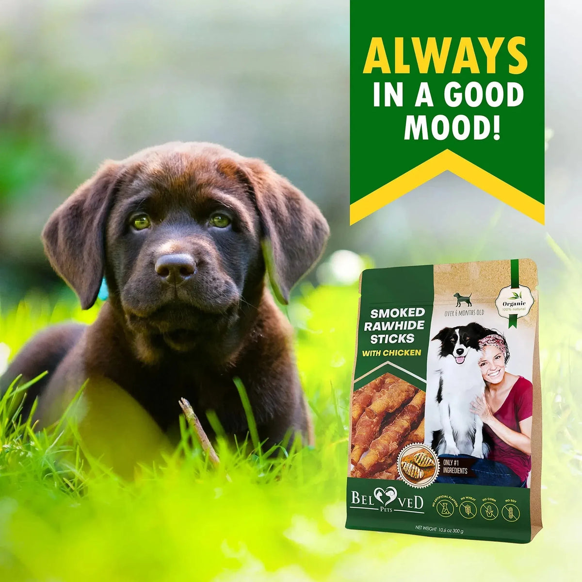 Dog Smoked Rawhide Sticks Wrapped Chicken Pet Natural Chew Treats Grain Free Organic Meat Healthy Human Grade Dried Snacks In Bulk - Needora