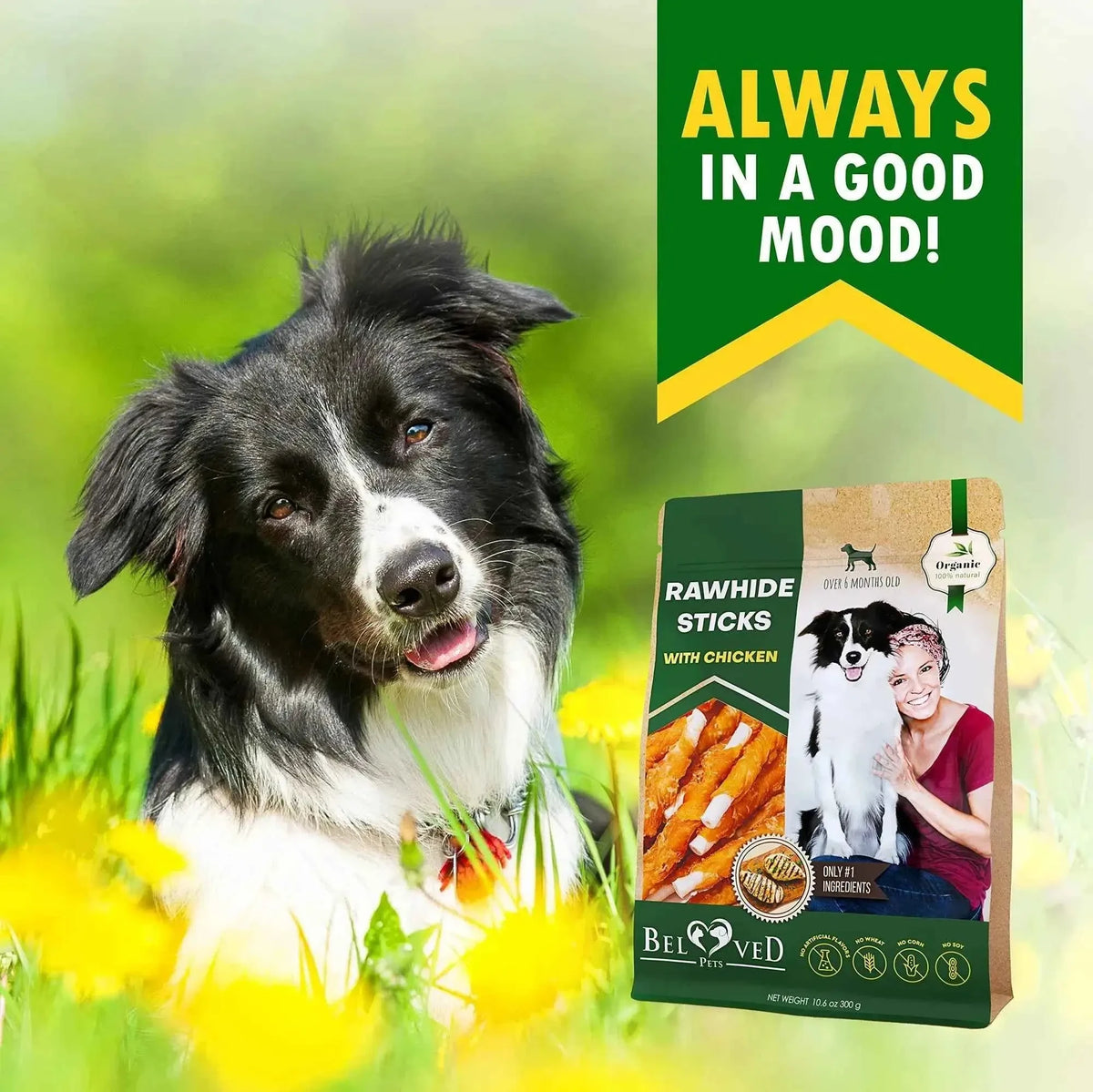 Dog Sticks Wrapped With Chicken & Pet Natural Chew Treats Grain Free Organic Meat & Human Grade Dried Snacks In Bulk For Training Small & Large Dogs - Needora