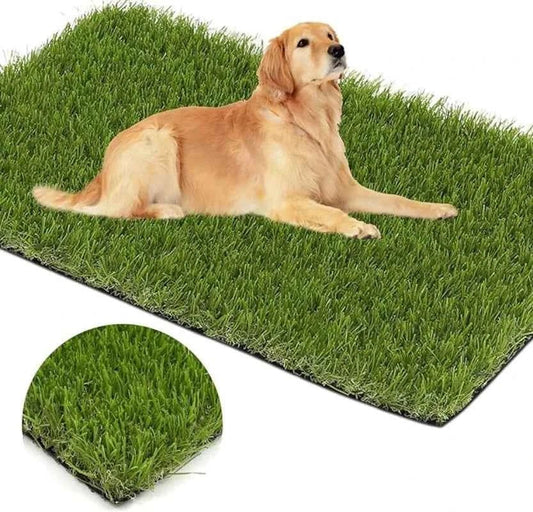 Dogs Grass for Potty Training Artificial Grass for Dogs Puppy Fake Grass Pads Large Dogs Supplies Pets Litter Rugs for Puppy - Needora