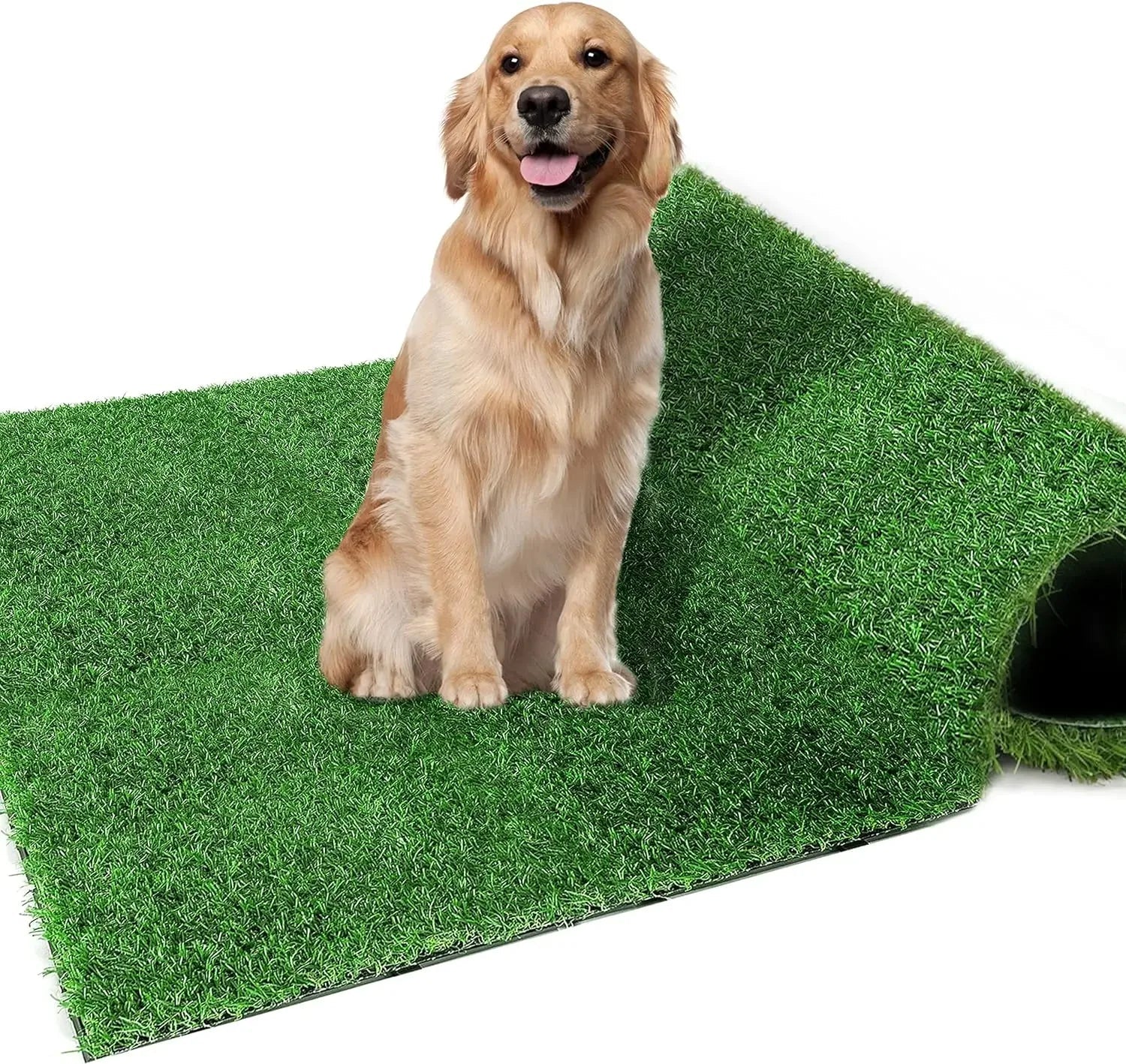Dogs Grass for Potty Training Artificial Grass for Dogs Puppy Fake Grass Pads Large Dogs Supplies Pets Litter Rugs for Puppy - Needora