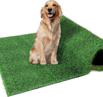 Dogs Grass for Potty Training Artificial Grass for Dogs Puppy Fake Grass Pads Large Dogs Supplies Pets Litter Rugs for Puppy - Needora