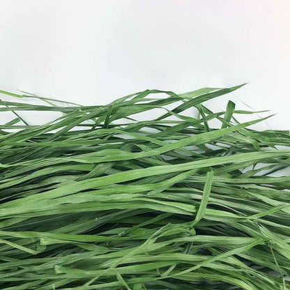 Dried Timothy FCL Hay Snacks Feed Chinchilla Guinea Pig Food Rabbits Pet Products - Needora